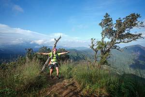 BIB: 
                            <button type="button" onclick="openModal(22374223)" class="btn btn-primary btn-sm float-right btn-popup" data-toggle="modal" data-target=".modal-high-quality">
                        <i class="fas fa-shopping-cart"></i> Add to Cart
                    </button>
                                            <button type="button" onclick="isThisMe(22374223, true)" class="btn btn-success btn-sm float-right btn-popup btn-isme hidden" data-toggle="tooltip" data-placement="bottom" title="นี่คือรูปของคุณใช่ไหม คลิกที่นี่เพื่อเอาเข้าอัลบั้ม">
                        <i class="fas fa-plus"></i> Add to album
                    </button>
                    <button type="button" onclick="isThisMe(22374223, false)" class="btn btn-warning btn-sm float-right btn-popup btn-isnotme hidden">
                        <i class="fas fa-ban"></i> Remove from album
                    </button>